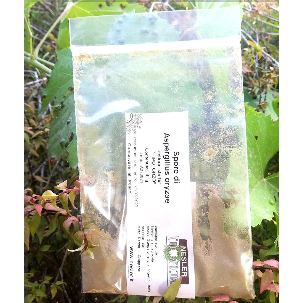 Spore di A. oryzae 8 g (per SHOUY)